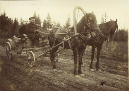 01.jpg, 185828 
