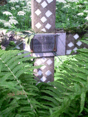  : PICT1275.JPG