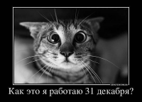  : image.jpg