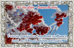 30   .jpg, 60393 