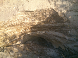  : DSC_1298.jpg