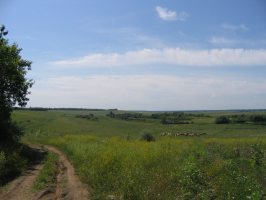  : IMG_2375.jpg