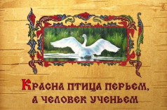  : img0.jpg