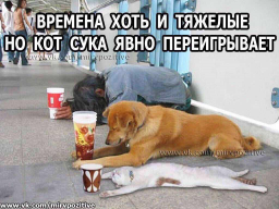  : 7B899A10-9B14-42EA-9FF8-B993E34EB322.jpeg