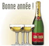  : bonne_annee_big.gif