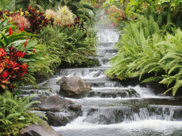  : Waterfall.jpg
