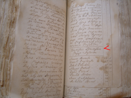 S1032555.jpg, 665799 