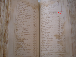 S1032556.jpg, 704985 