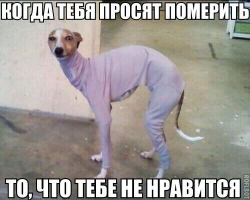  : 1.jpg