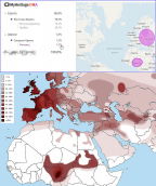  : R1b.jpg