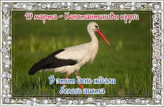 2.jpg, 60945 