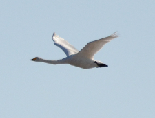  : DSC_0311.jpg