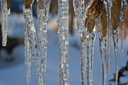  : ice-953205_1280.jpg
