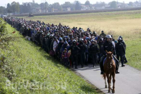  : migranty_v_slovenii_0.jpg