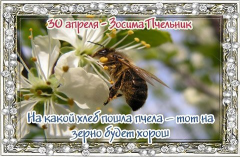 30   .jpg, 64998 