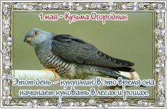 2.jpg, 63944 