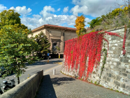 3_IMG_20171009_134818_HDR.jpg, 269960 