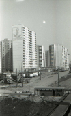 2.jpg, 160807 