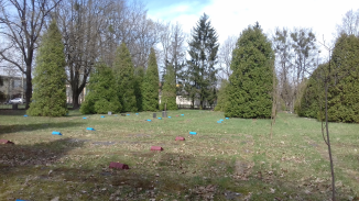 20180415_111136.jpg, 3827435 