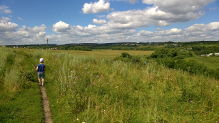  : WP_20170724_008.jpg