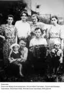 Korotkovii_9010366_9111188.jpg, 106855 