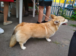 11.jpg, 231593 