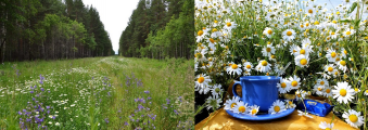 ������������� ����: imgonline-com-ua-2to1-uMv6sajnX0.jpg