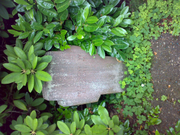  : 210620151541.jpg