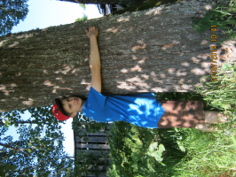  : IMG_2443.JPG