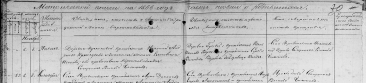  : 6.11.1866.jpg