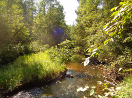  : DSC06725.JPG