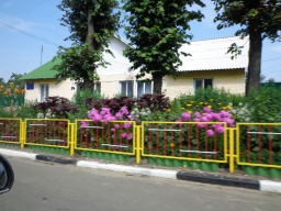  : DSC00176.JPG