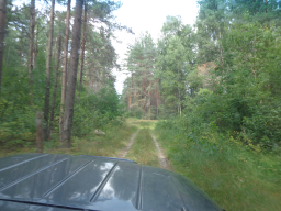  : DSC00301.JPG