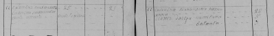 5.jpg, 273380 