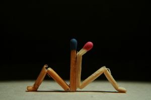  : 138519_138594.jpg