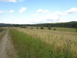  : DSC00007.JPG