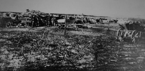 03.jpg, 102657 