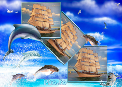  : E32C7B21-9D78-4774-8F54-6F707CEDC7AF.jpg