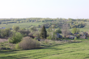  : IMG_0716.JPG