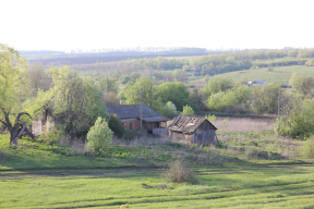  : IMG_0717.JPG