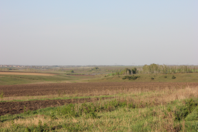  : IMG_0756.JPG
