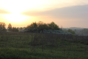  : IMG_5116.JPG
