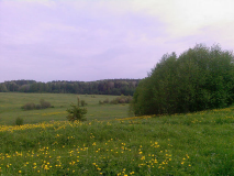 RRRS39jpg_7631012_15883177.jpg, 76611 