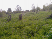 RRRS61jpg_9466282_15883218.jpg, 109989 