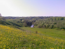 RRSRRRRSRS_5305250_15883265.jpg, 100820 