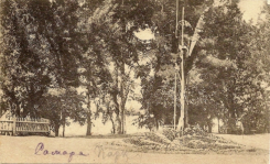  : _1918.jpg