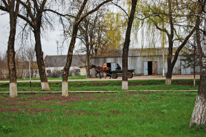  : DSC_1222.JPG