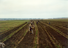  : Cso-003.jpg
