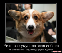  : 18482613_85908-650x0.jpg