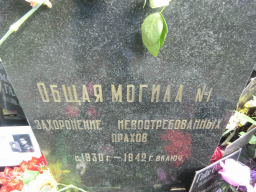  : CIMG0933.JPG